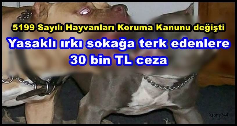 Yasaklı ırkı sokağa terk edenlere 30 bin TL ceza 