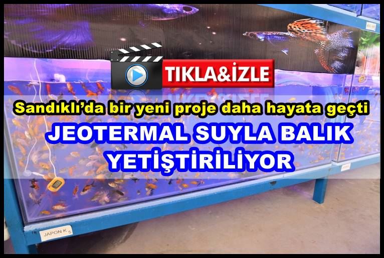 Sandıklı’da yine bir ilk, jeotermal suyla balık yetiştiriliyor