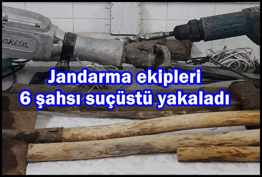 Jandarma ekipleri 6 şahsı suçüstü yakaladı