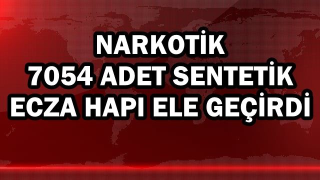 Narkotik 7054 adet sentetik ecza hapı ele geçirdi