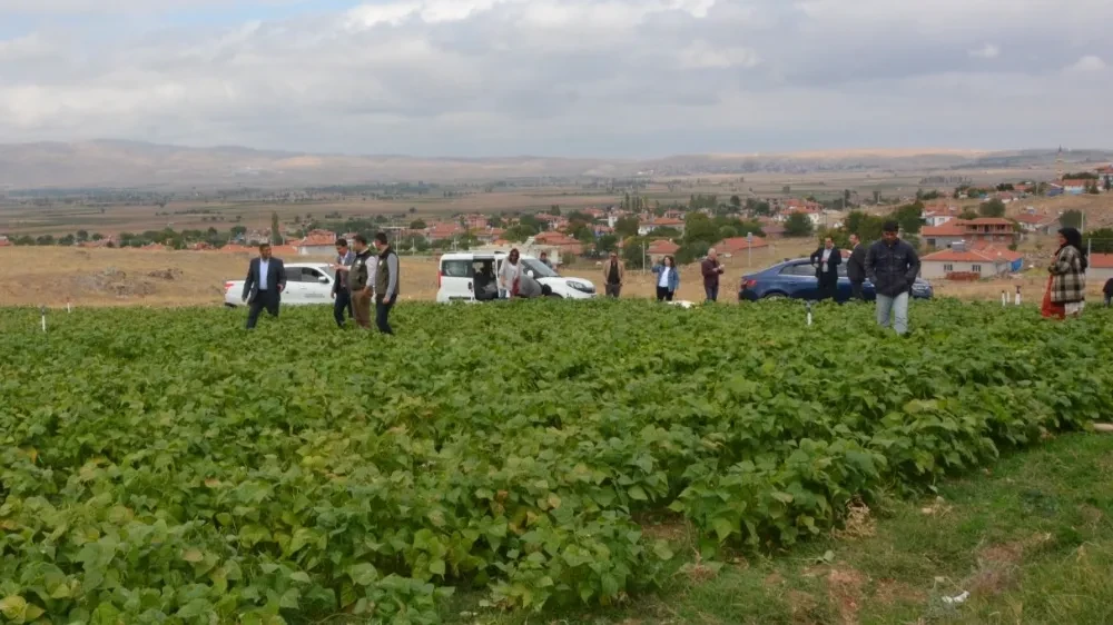 Afyonkarahisar, ülke genelinde 8. sırada