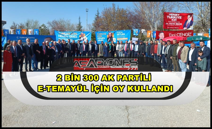 2 bin 300 AK Partili e-temayül için oy kullandı 