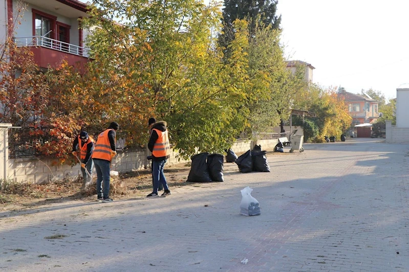 Temiz Bir Dinar İçin Kapsamlı Çalışma Başladı